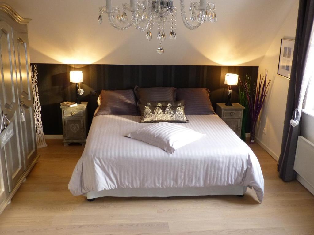 Chambres D'Hotes La Parenthez' Haguenau Værelse billede